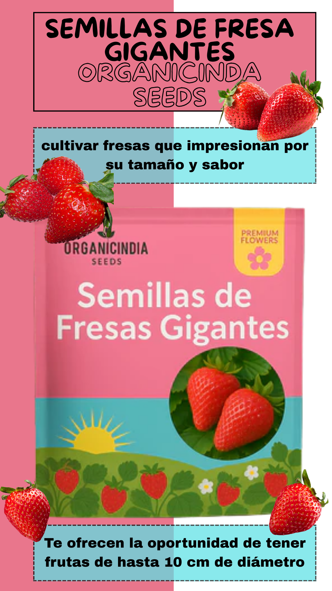 Organicidia® Semillas Fresas Gigantes x100 Semillas + GUIA Como Es El Proceso De Germinación